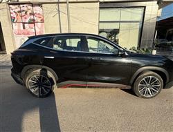 جيتور داشينج